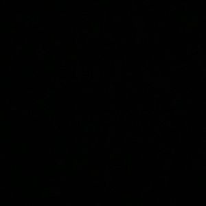 Meet your Posher, Gracen